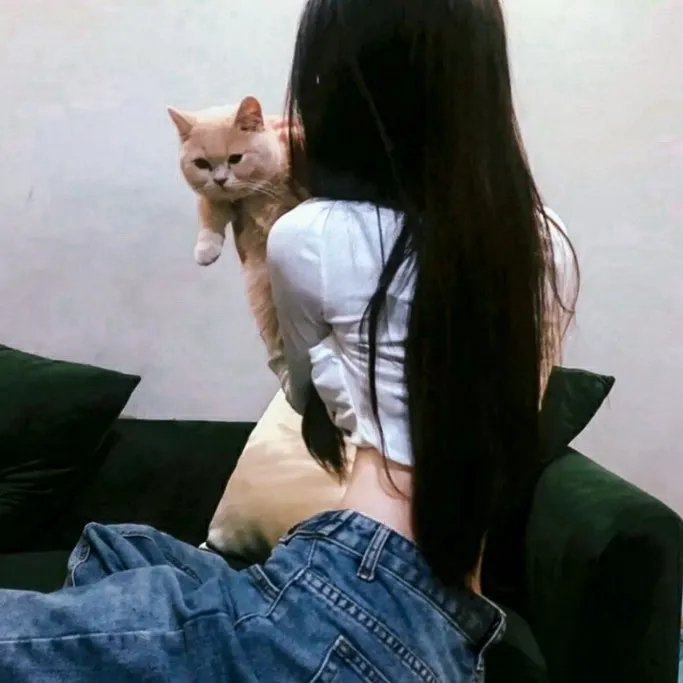 云深不知梦
