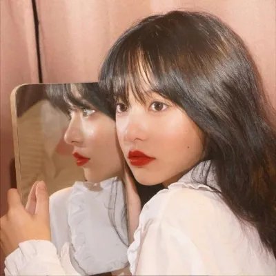 胡同猫